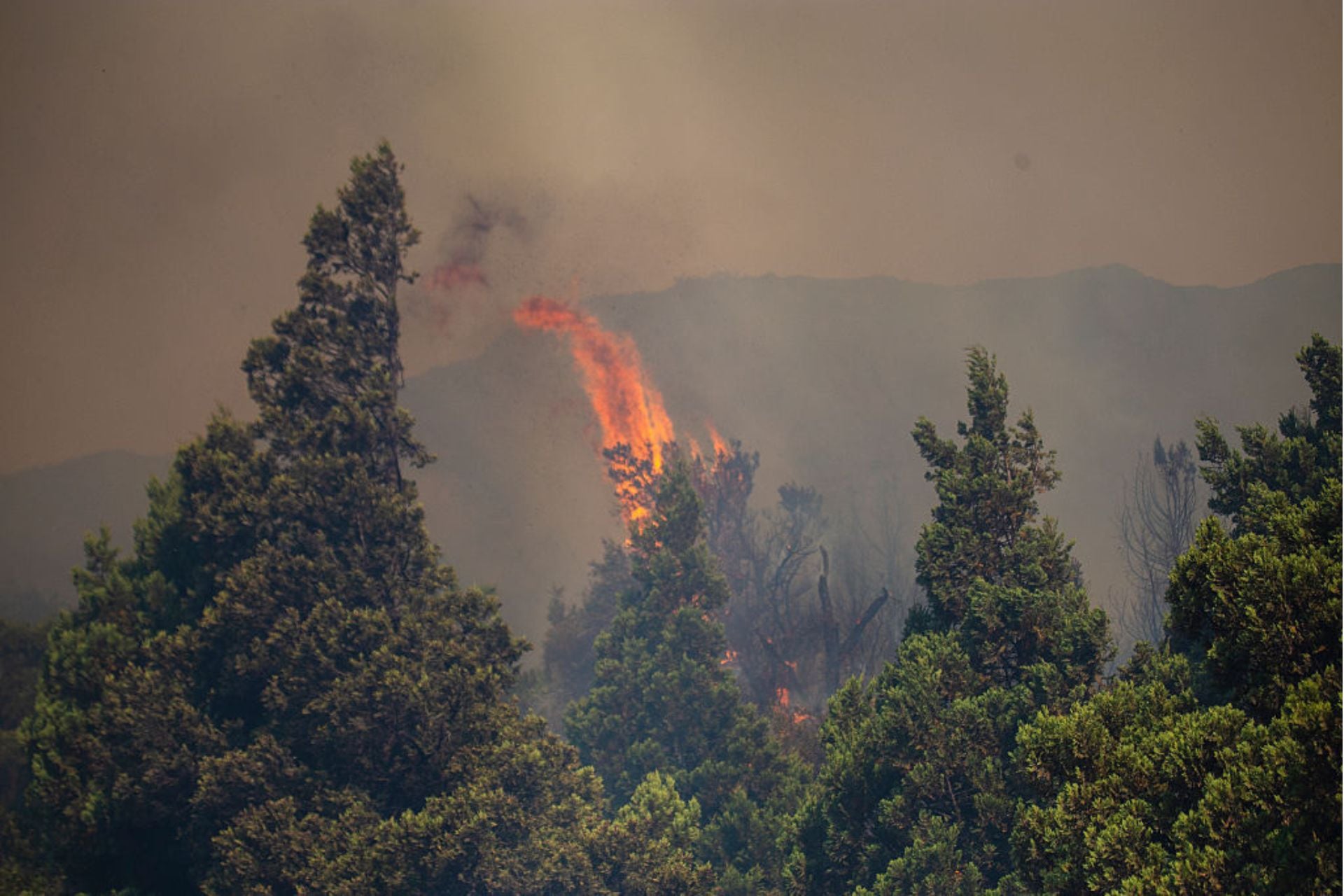 Firefighter battles a blaze in Los Alerces National Park, Argentina, on January 24, 2026