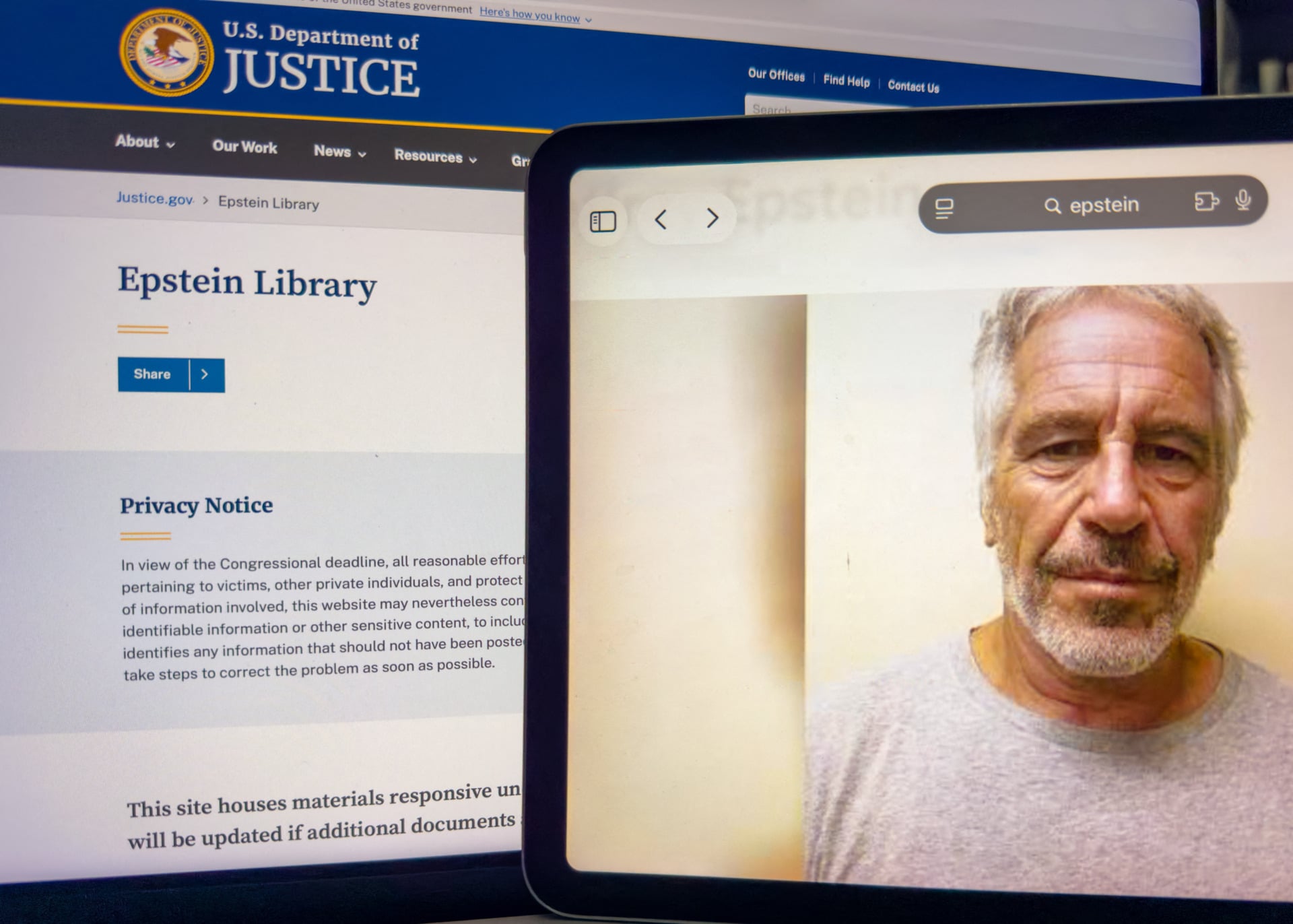 Epstein Library of the DOJ and Jeffrey Epstein's photo from prison side by side