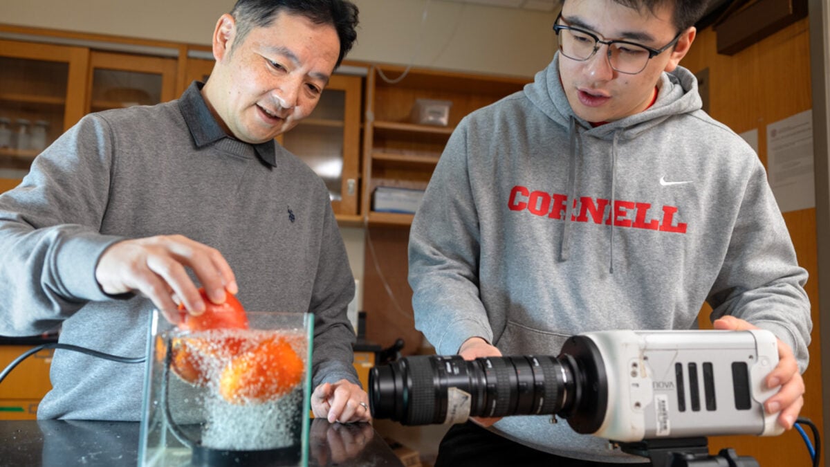 Scientists Found a Weird New Way to Wash Fruits and Vegetables