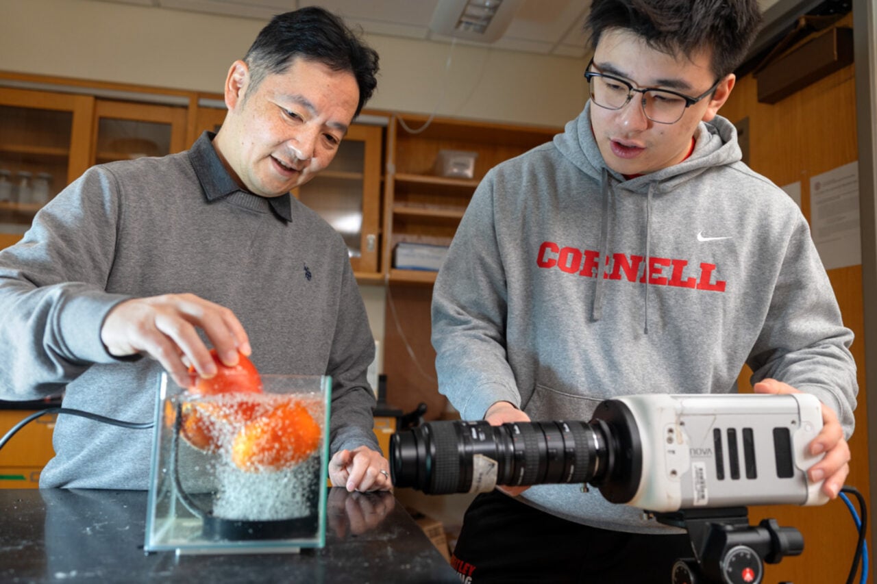 Scientists Found a Weird New Way to Wash Fruits and Vegetables