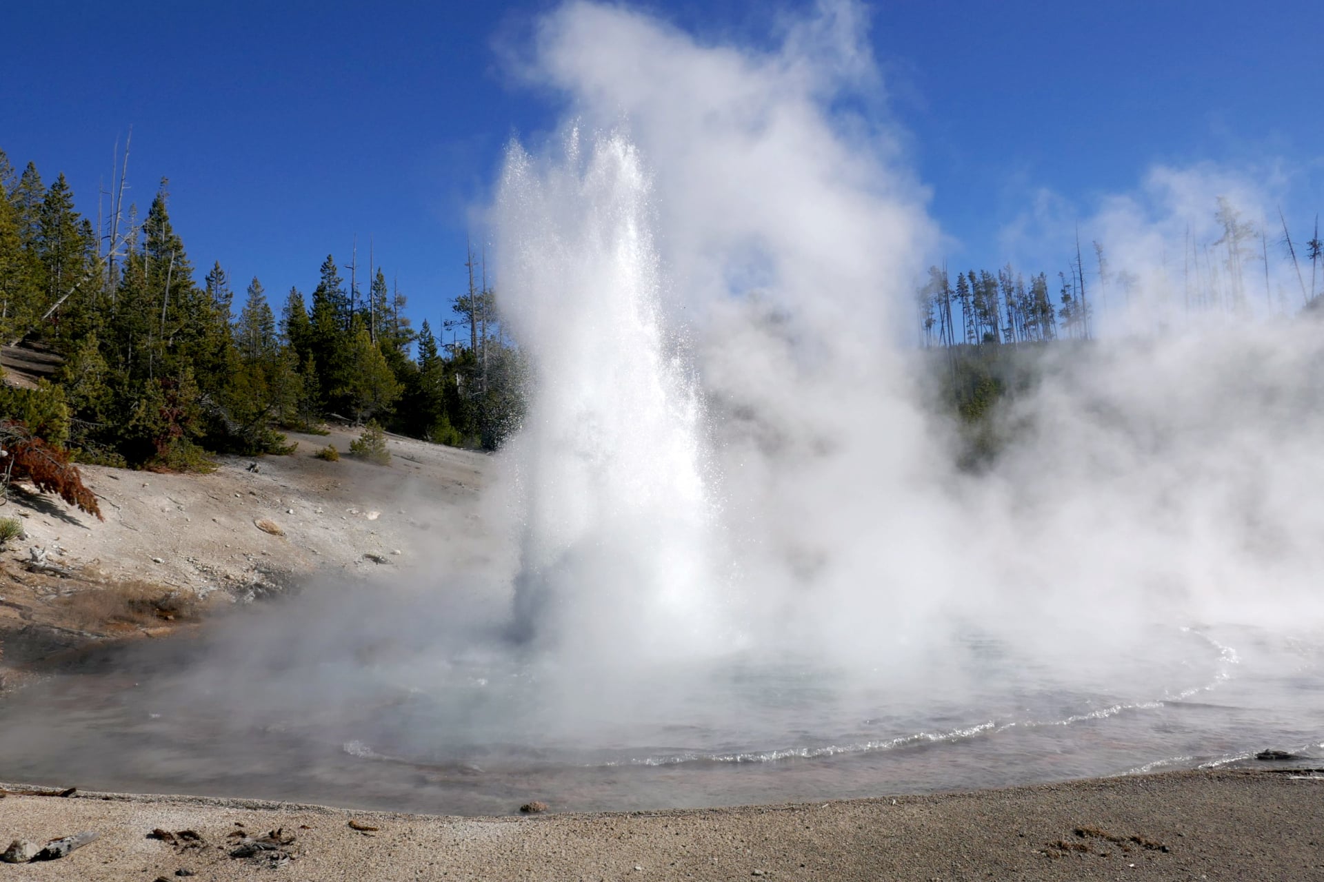 Echinus Geyser in eruption on October 24, 2017.
