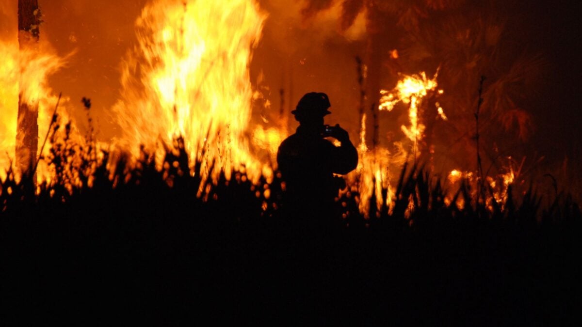 Early Wildfires Are Surging Across the US—and Trump's New Fire Agency Isn't Ready
