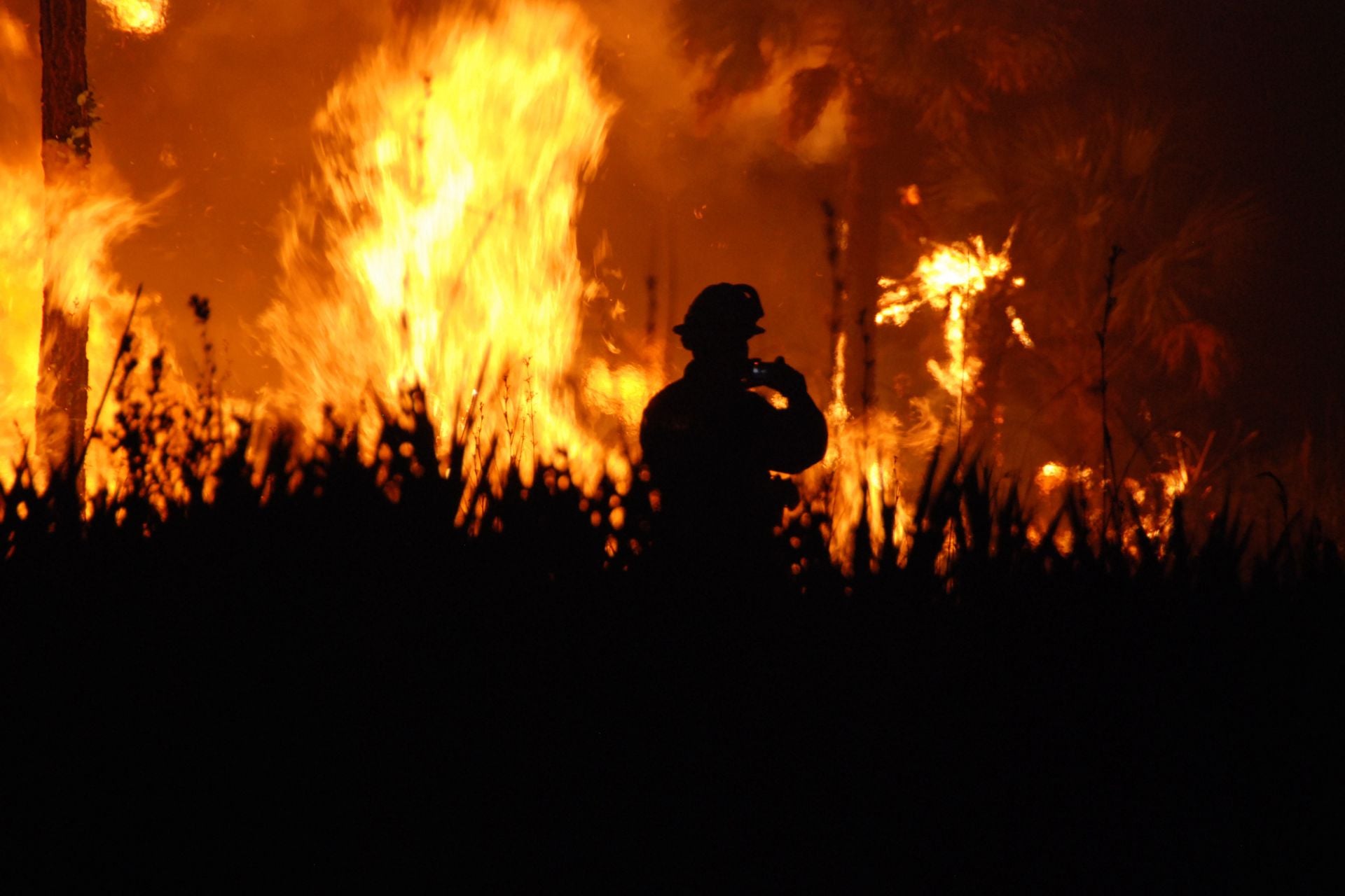 A wildland firefighter stands in front of a blaze at Florida Panther National Wildlife Refuge in 2009