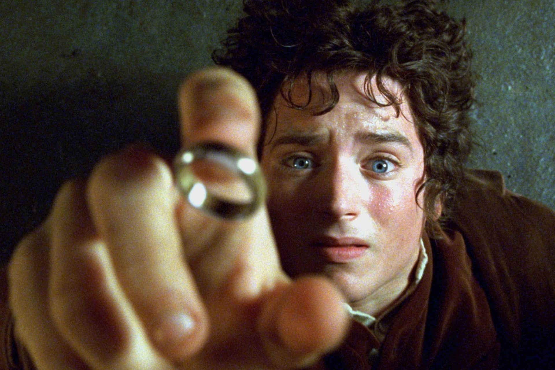 Frodo Fellowship Of The Ring Bree Ring