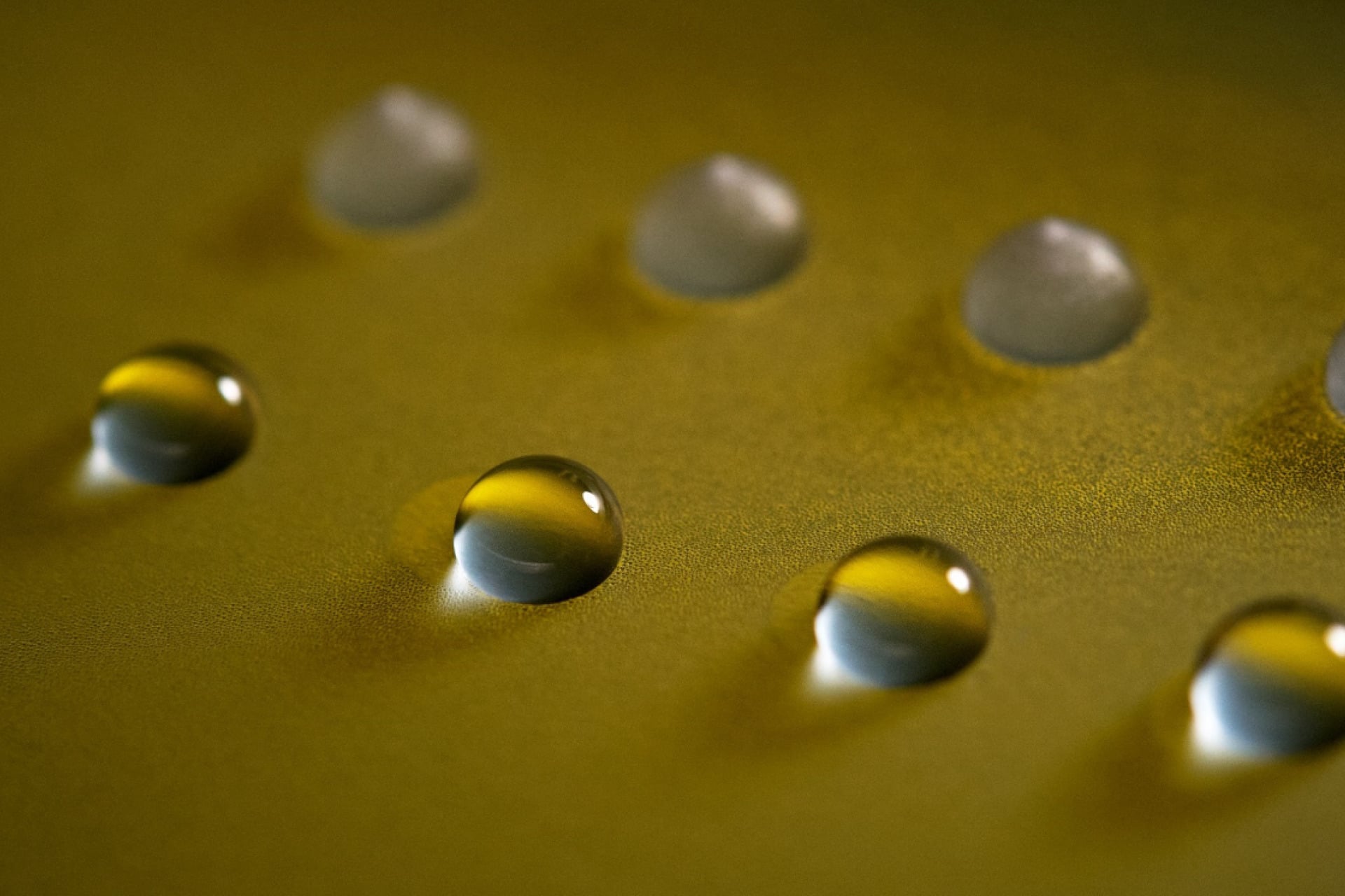 These are both liquid and frozen water droplets. They are at the same temperature, but the frozen droplets contain an ice nucleator.