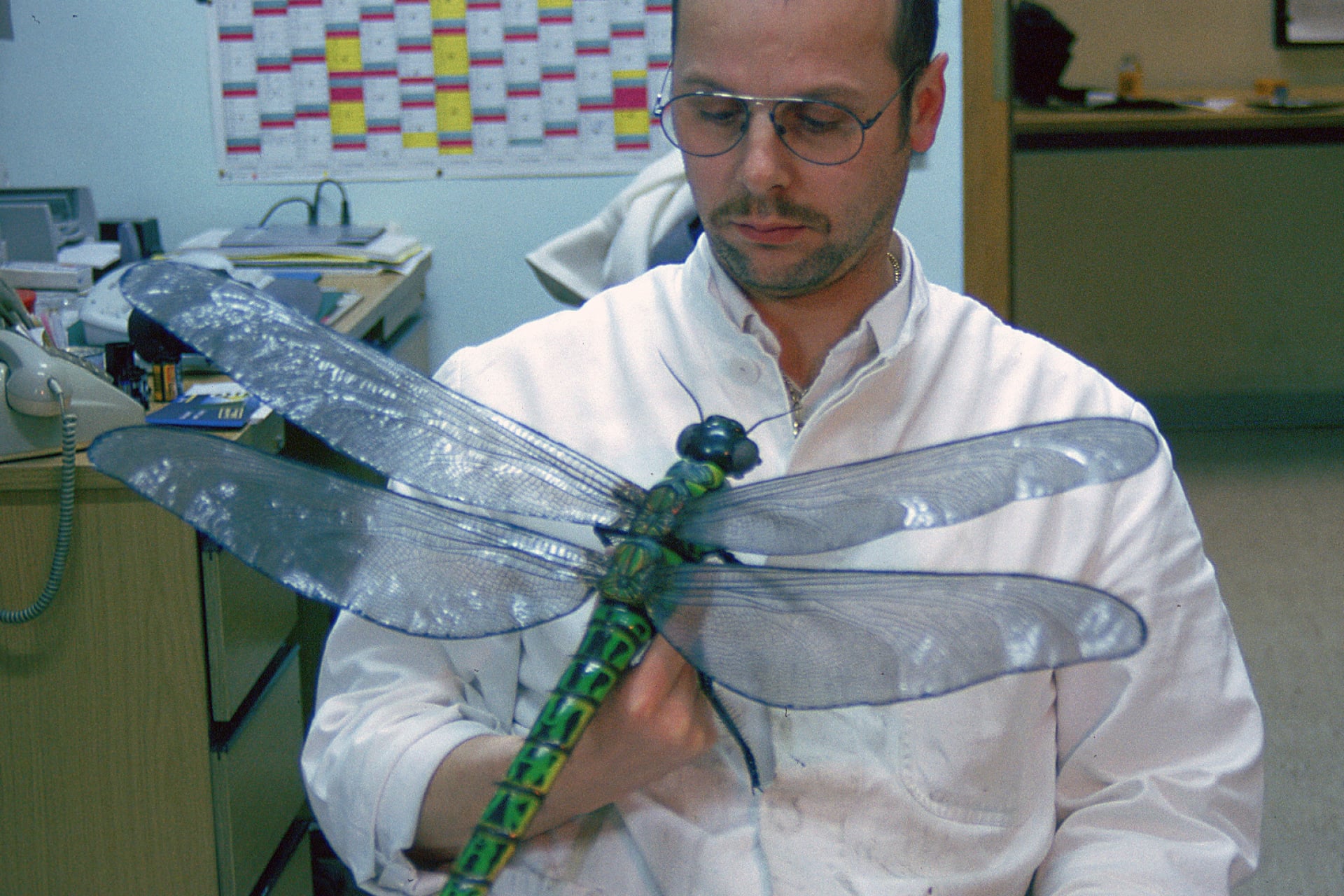 A researcher holding a life-sized reconstruction of the now-extinct griffinfly.