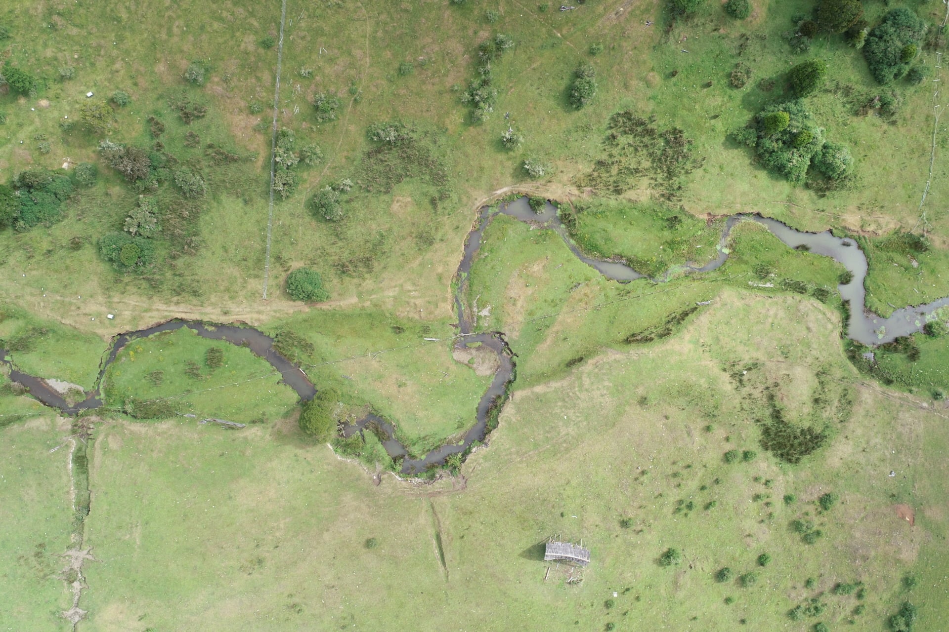 An overhead view of the Monte Verde site.