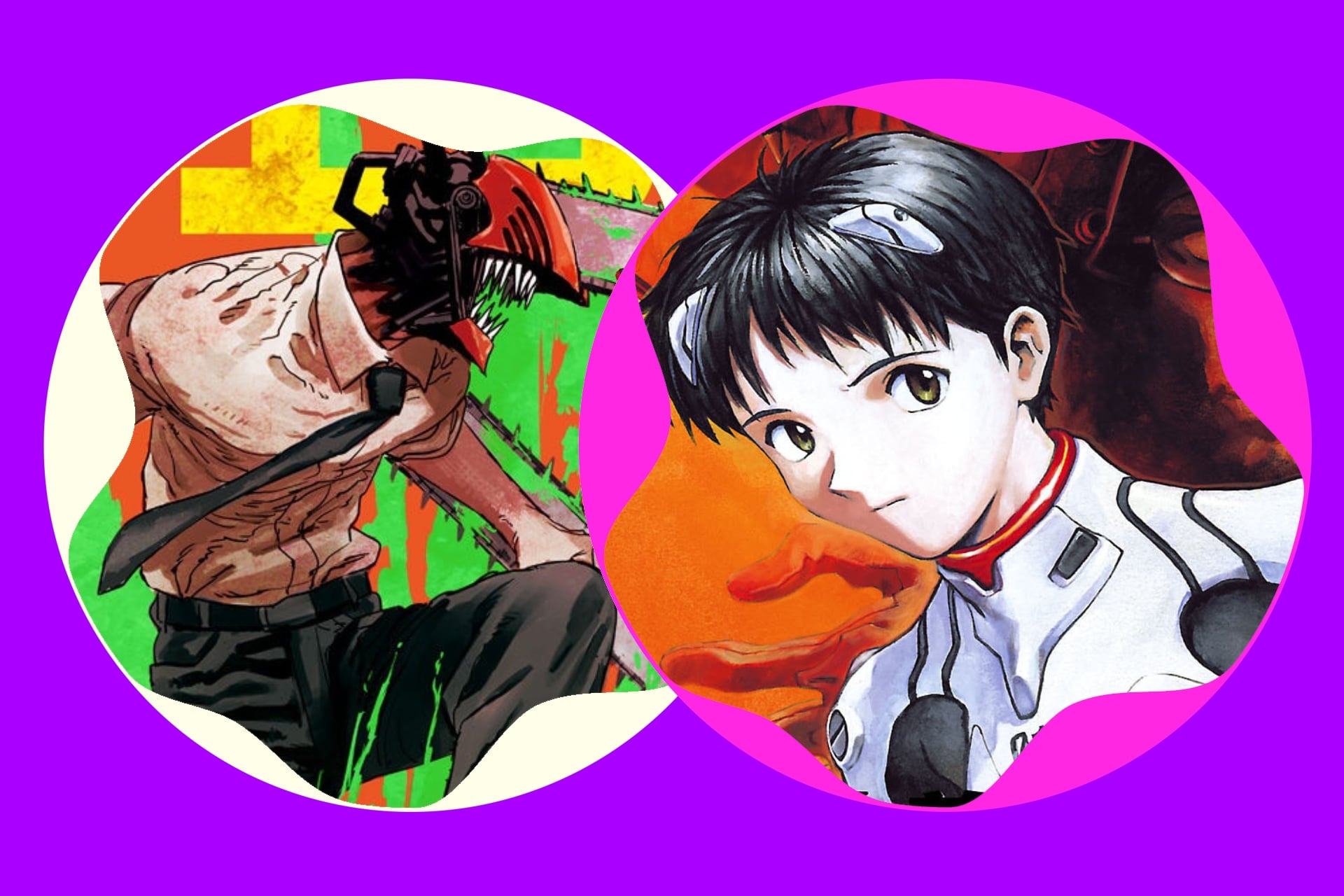 Manga volume covers of Neon Genesis Evangelion and Chainsaw Man.