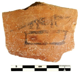 Ostraca Shrew Athribis