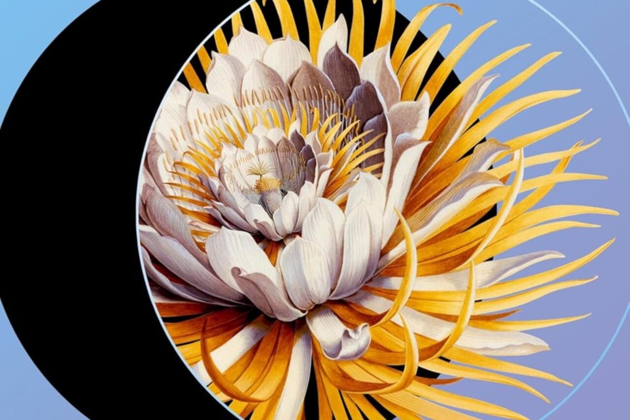 What We Are Seeking Cover