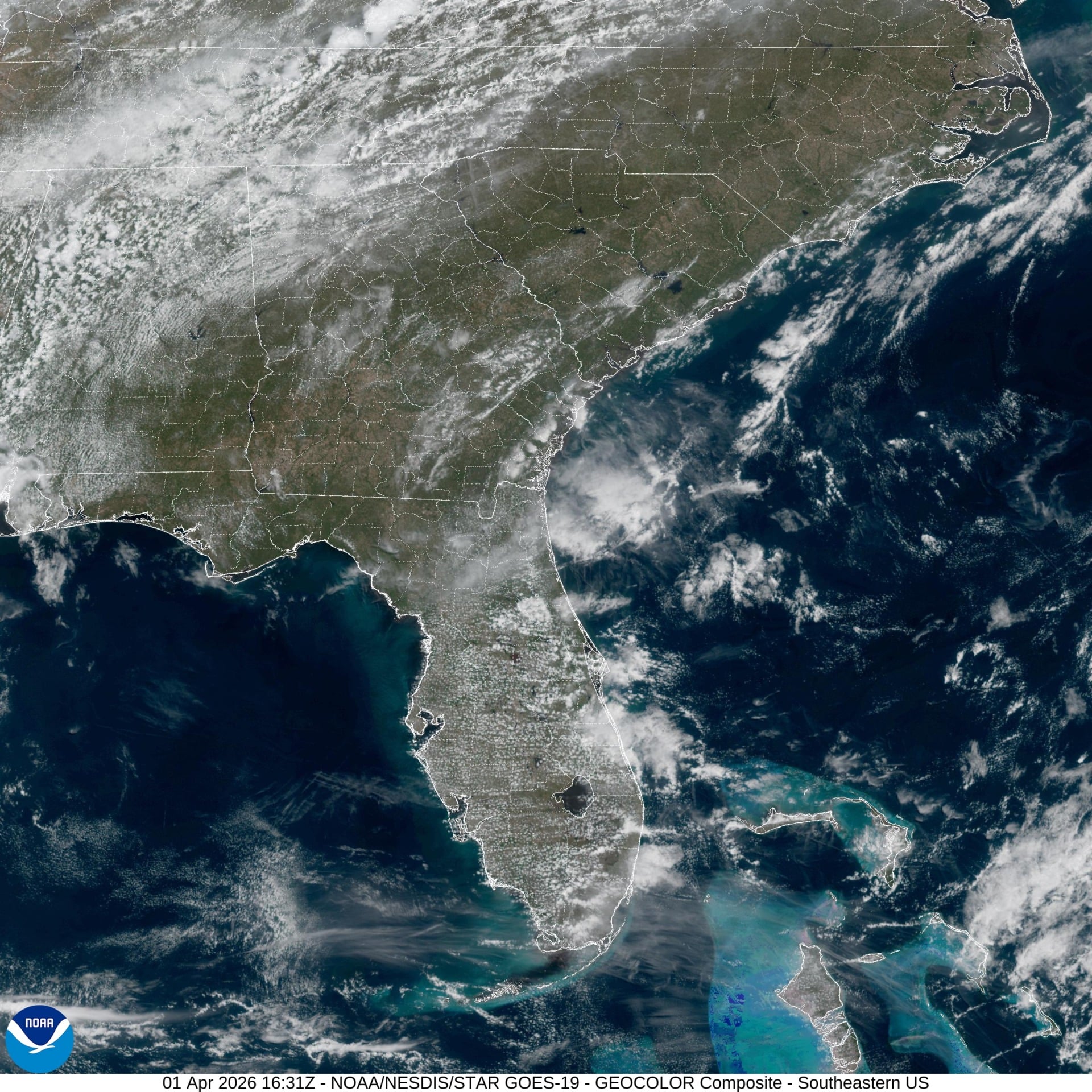 satellite image of weather over Florida