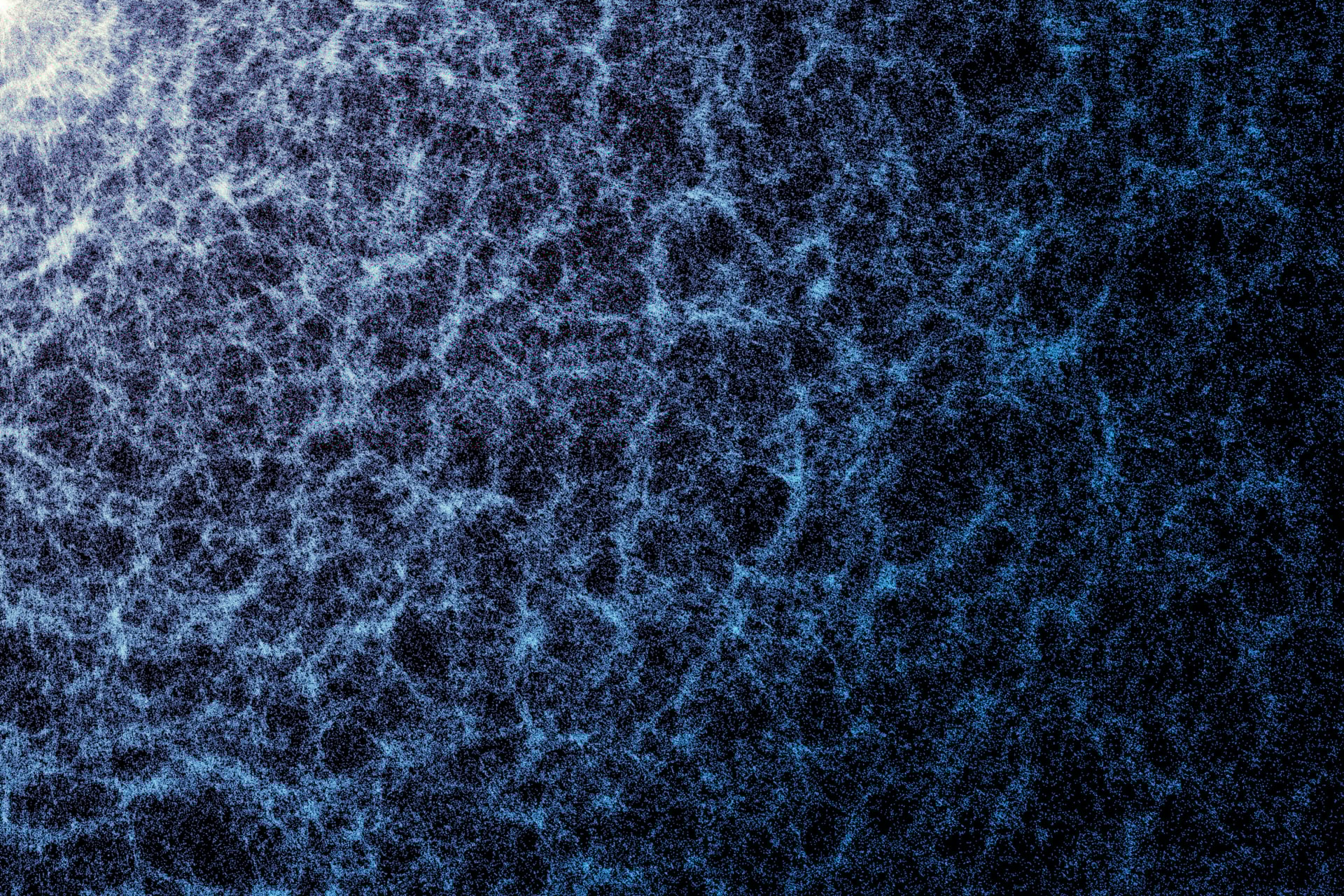 A small portion of DESI’s year-five map showing the large-scale universe structure, created by gravity. Each dot represents a galaxy, whereas the denser areas represent regions where galaxies and galaxy clusters clump together to form the cosmic web. 