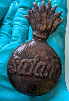 Dannebroge Uniform Badge