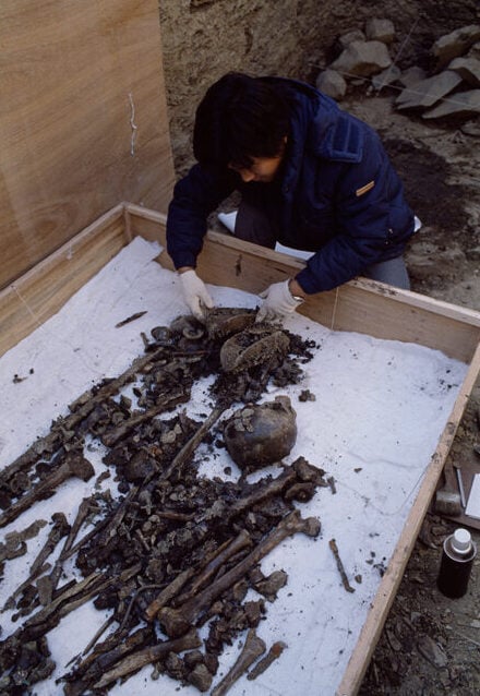 Excavation And Recovery Of Human Skeletal Remains At Imdang Dong
