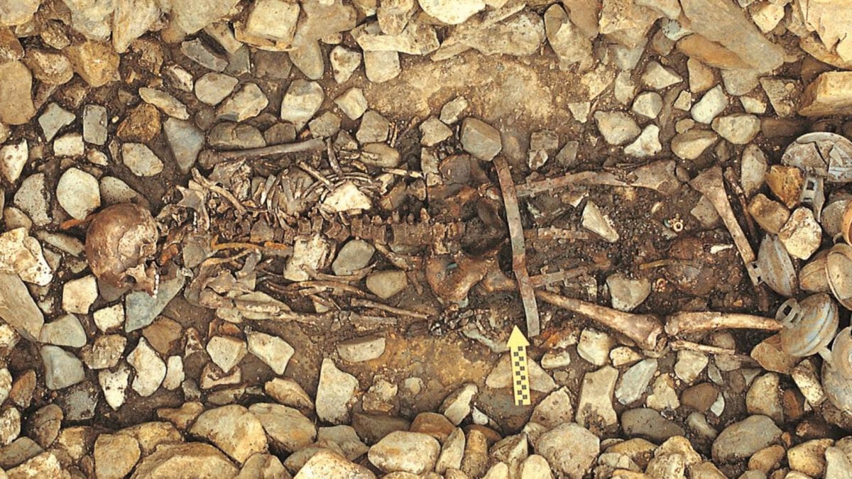 DNA From 1,500-Year-Old Korean Mass Grave Exposes a Brutal Ancient Ritual