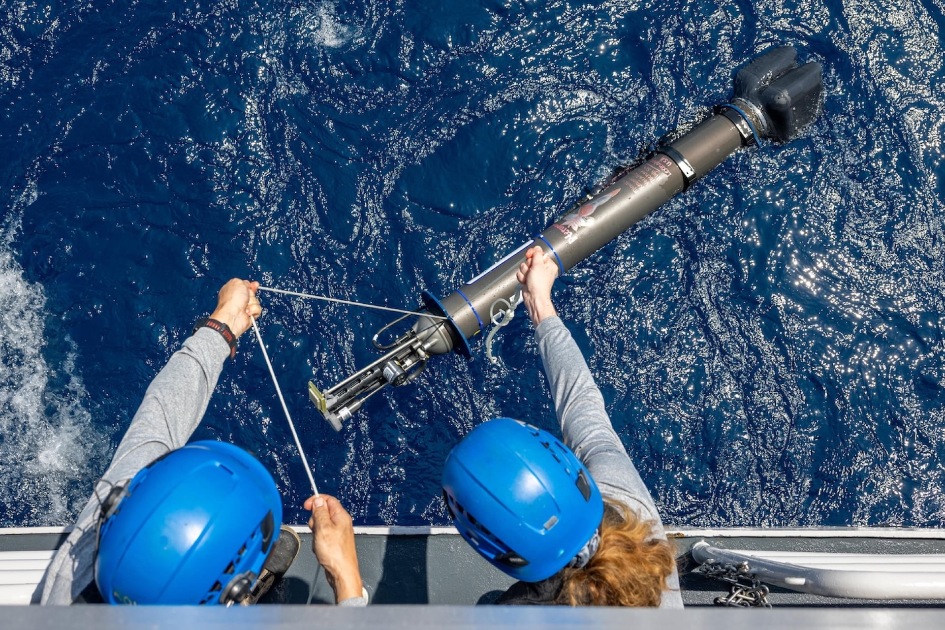 A global network of floats collected detailed data about ocean health. 