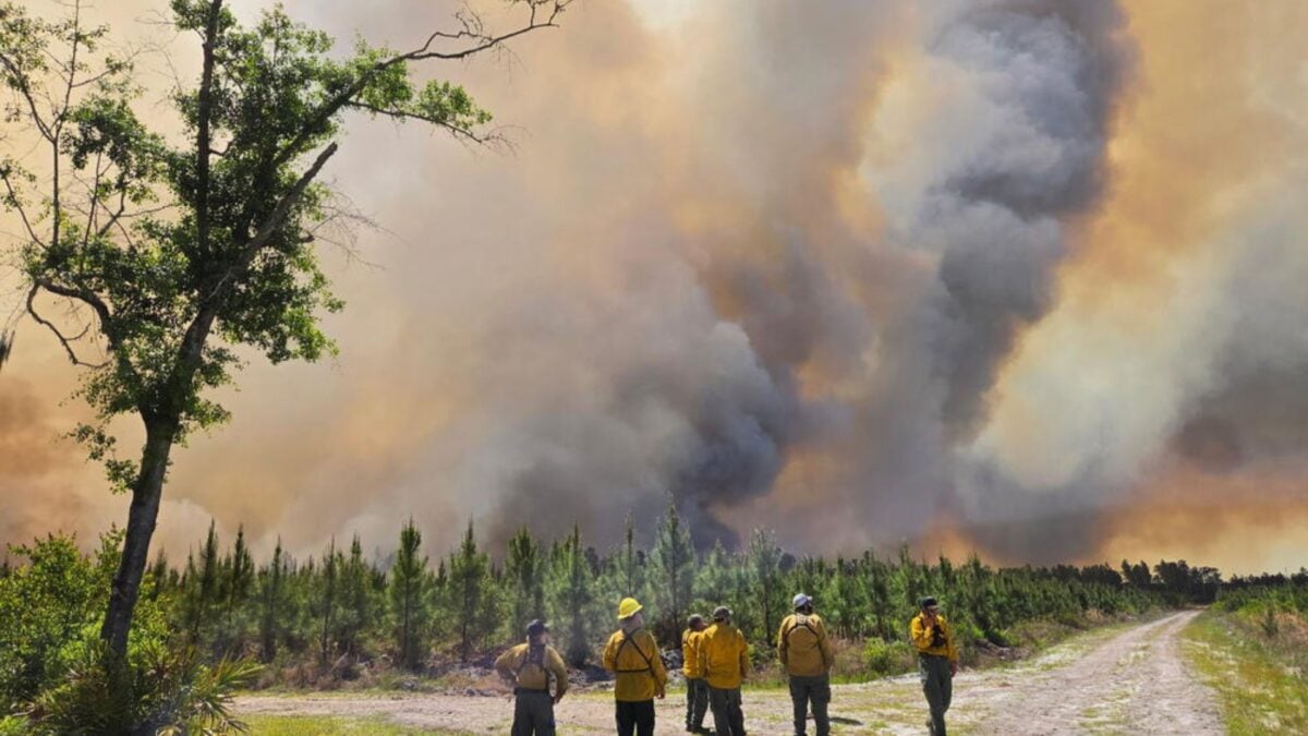The Unexpected Way Hurricanes Are Fueling Wildfires