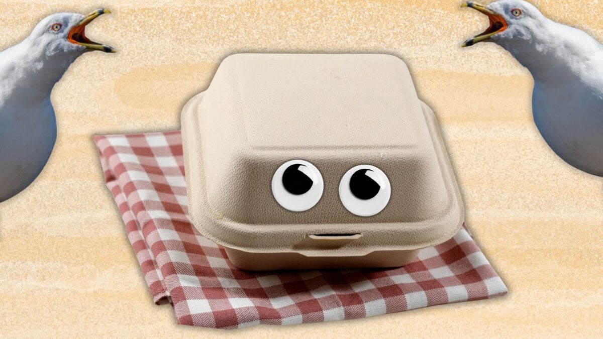 This Ridiculously Simple Trick Might Stop Gulls From Nabbing Your Lunch