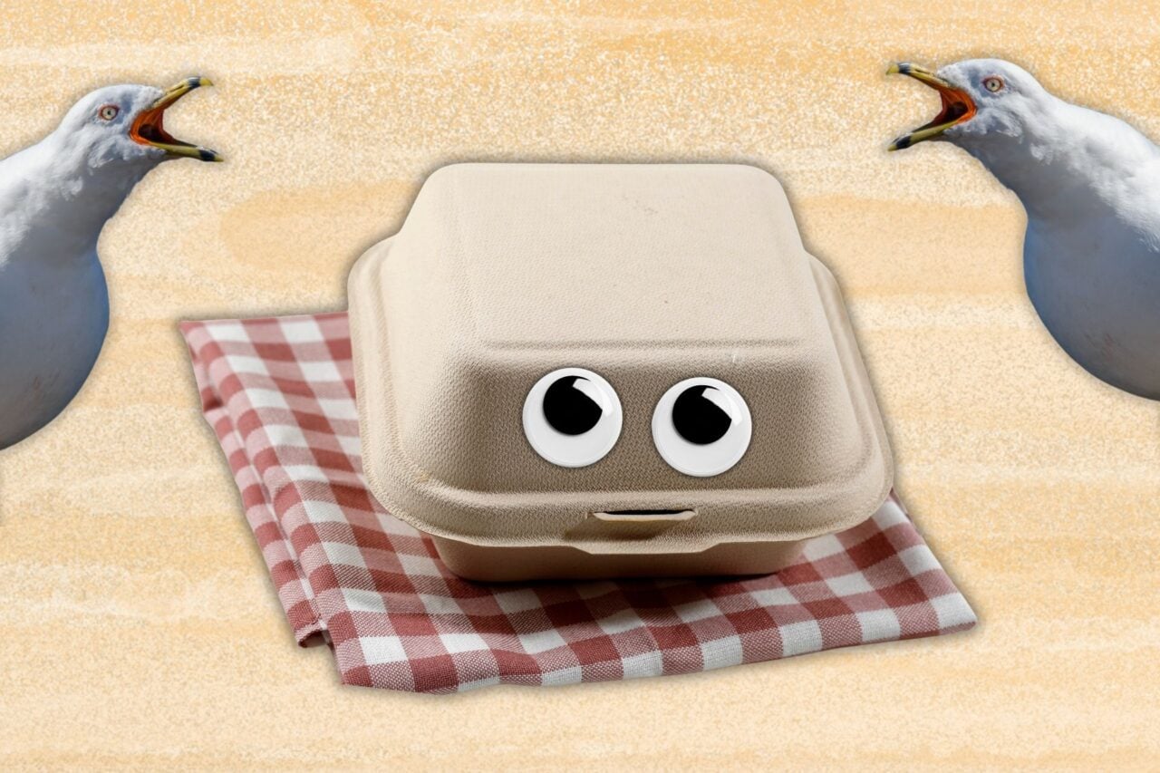 This Ridiculously Simple Trick Might Stop Gulls From Nabbing Your Lunch