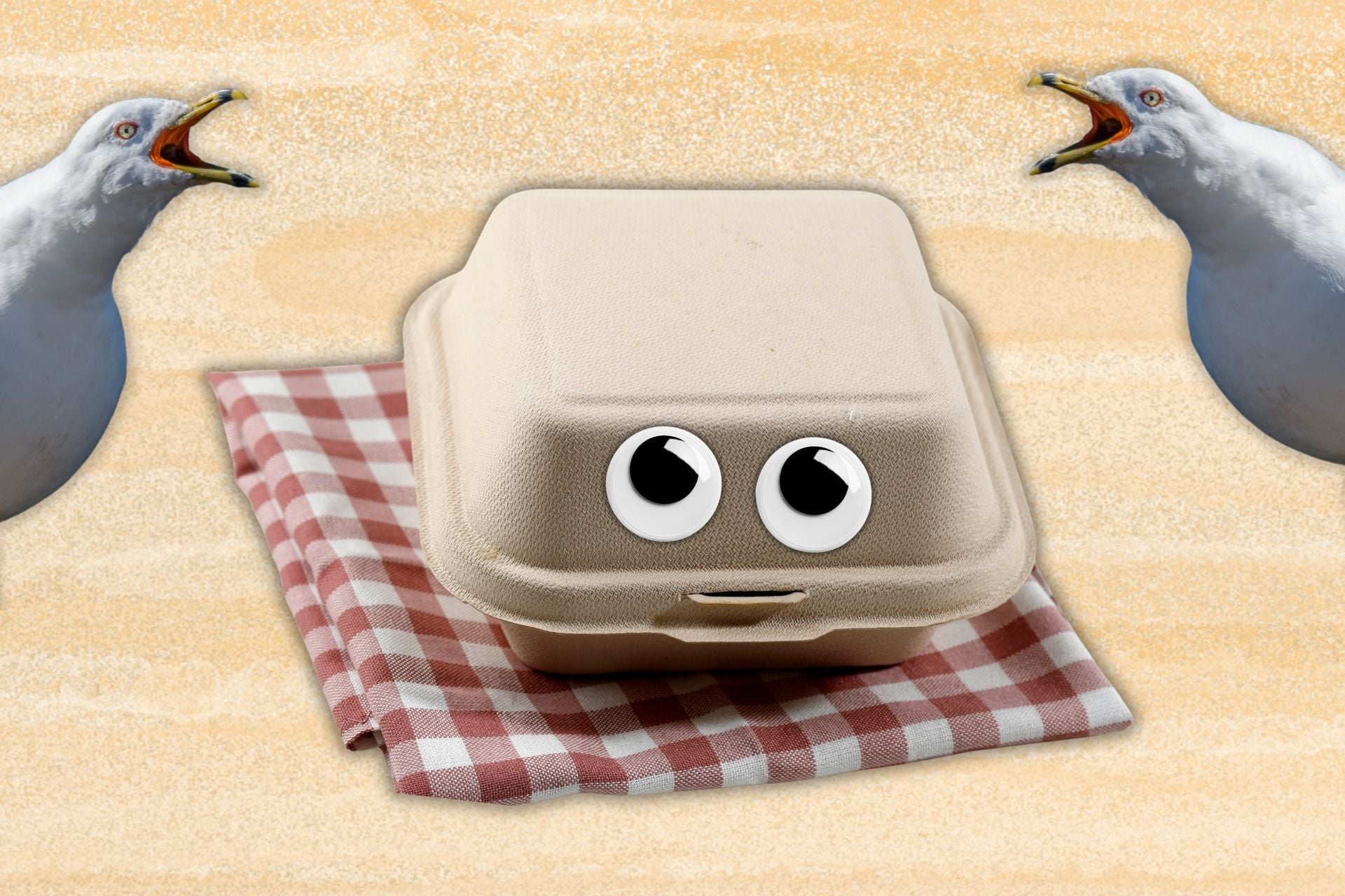 Need to scare off gulls? A trip to the arts-and-crafts store holds the answer. 