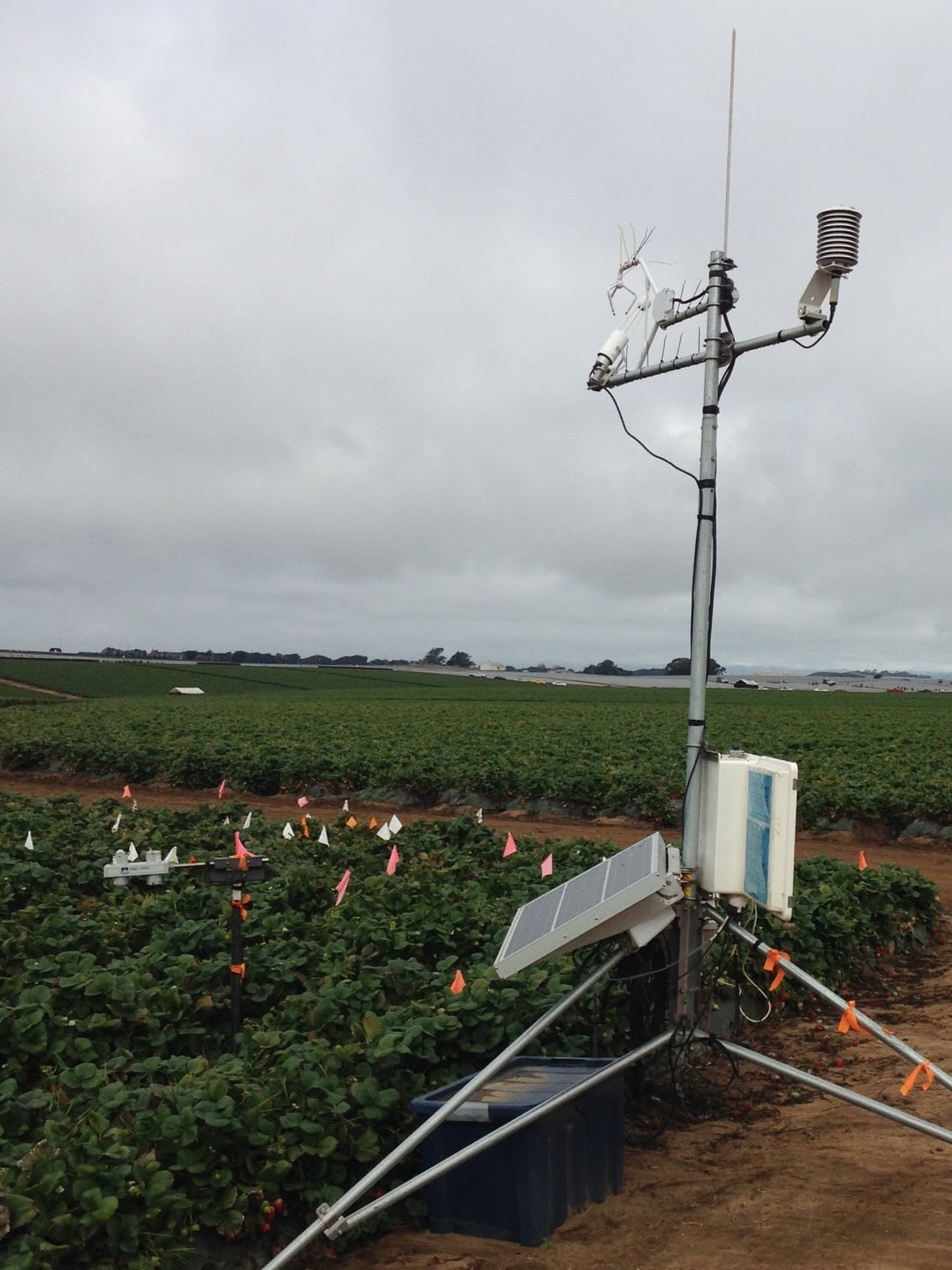 Monterey Bay Covariance Tower
