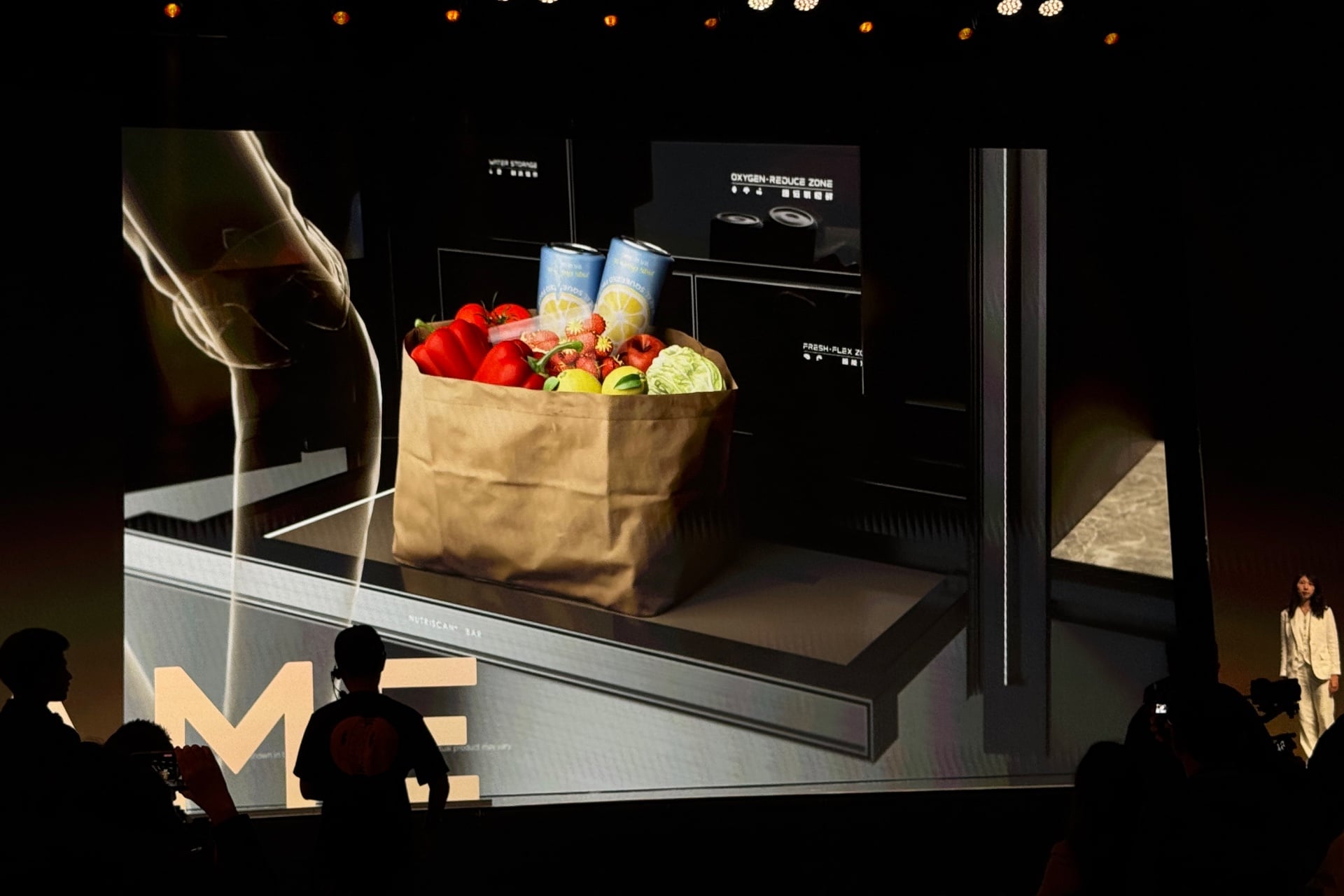 A picture of a render of a bag of groceries placed on the bottom shelf of a refrigerator