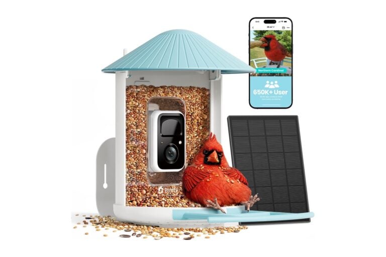 NETVUE by Birdfy Solar Smart Bird Feeder Gets Another Price Cut to ...
