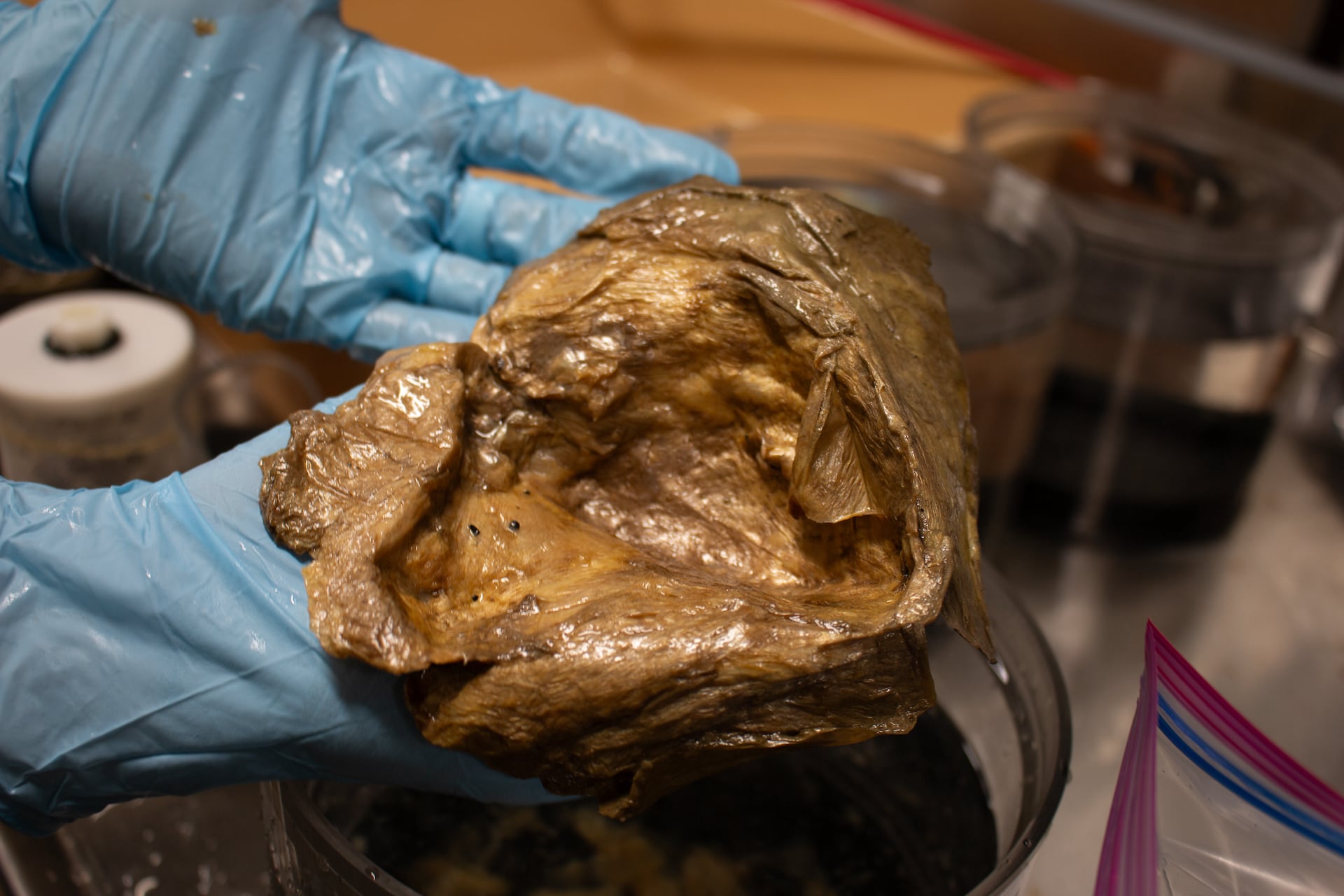A closeup image of the golden orb at the Smithsonian Institution. 