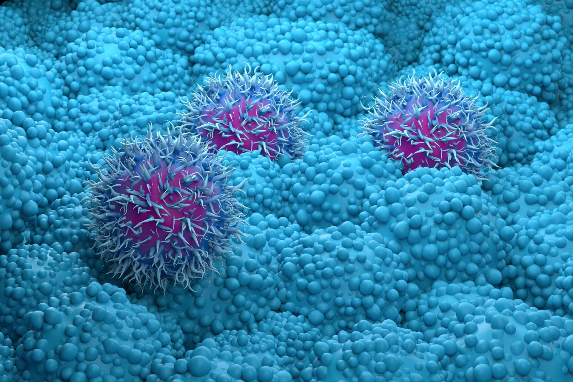 A 3D illustration of pancreatic cancer cells.