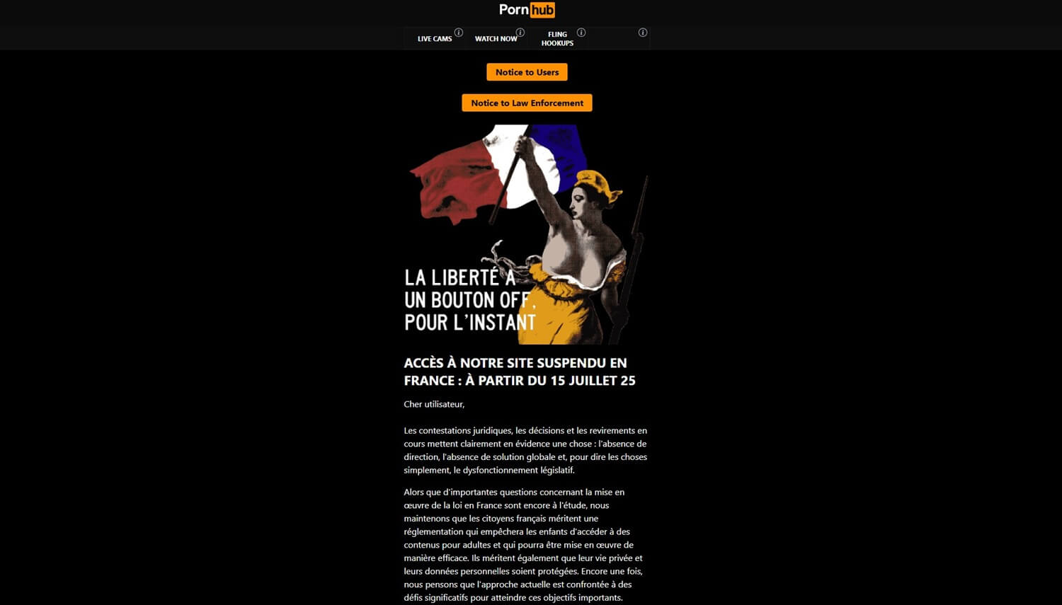 Pornhub France Error