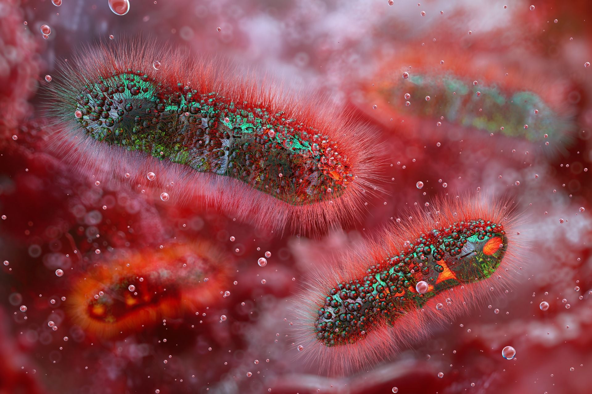 A 3D illustration of Shigella bacteria.