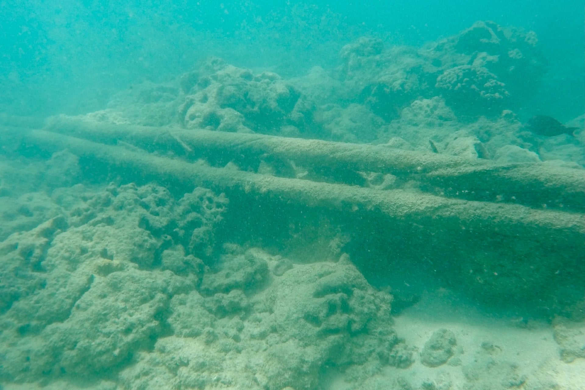 AW-1 cables seen off the coast of Hanauma Bay Nature Preserve in June 2021 (not related to the newly announced technology). 