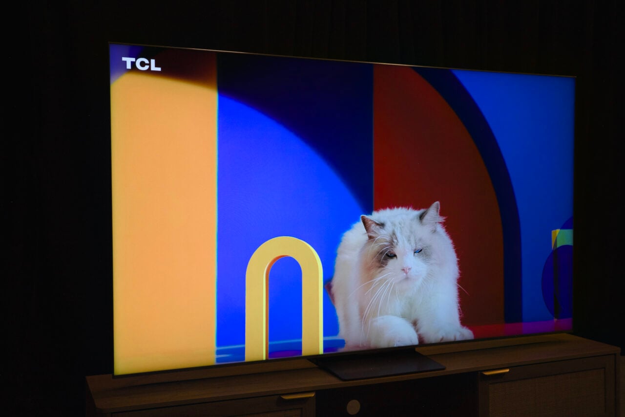 Tcl Qm8l Tv showing a cat