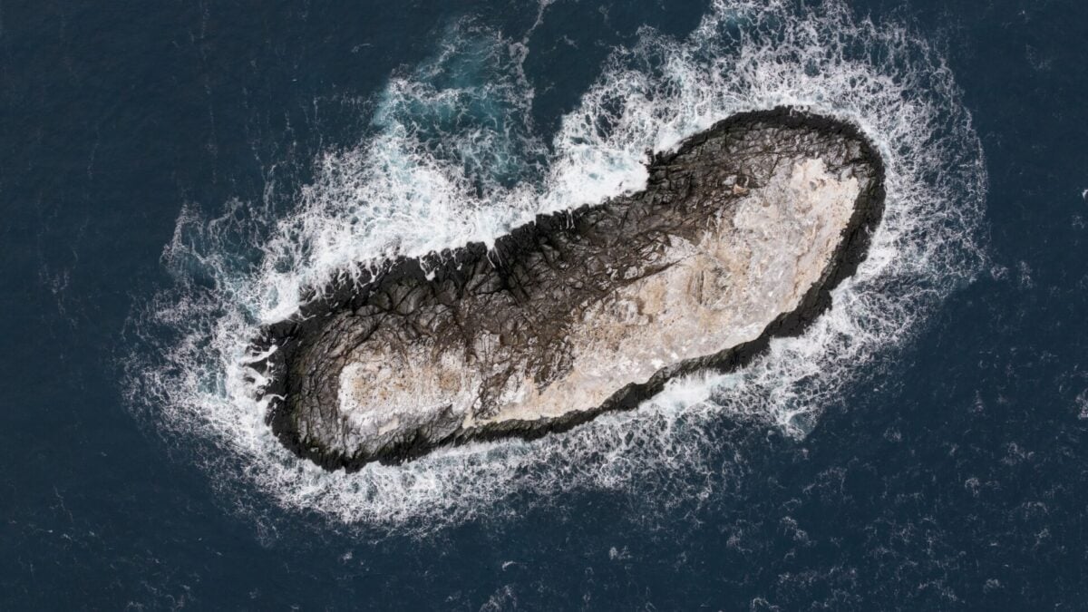 Ekspedisi Antarktika Masuk ‘Zona Bahaya’, Secara Tidak Sengaja Menemukan Pulau yang Belum Tercatat