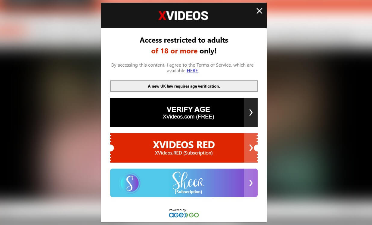 Xvideos Age Verification