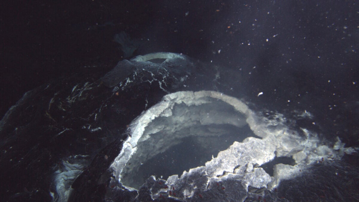 Asteroid ‘Hari Kiamat’ Mungkin Telah Memicu Awal Kehidupan di Bumi