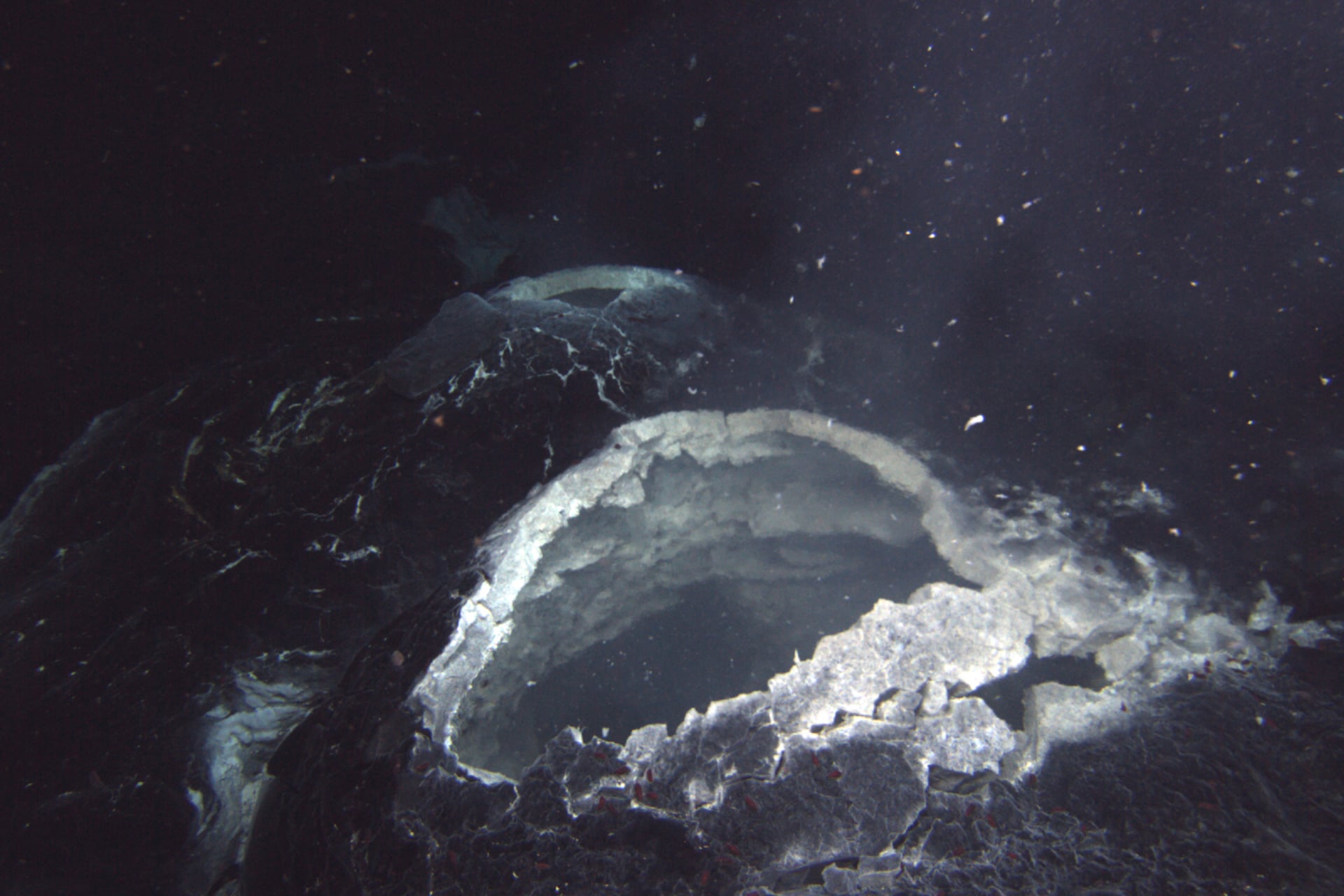  Above, a snowblower hydrothermal vent spews hot brine and white bacterial growth from the volcanic Axial Seamount deep in the Pacific Ocean near Oregon on 2011.