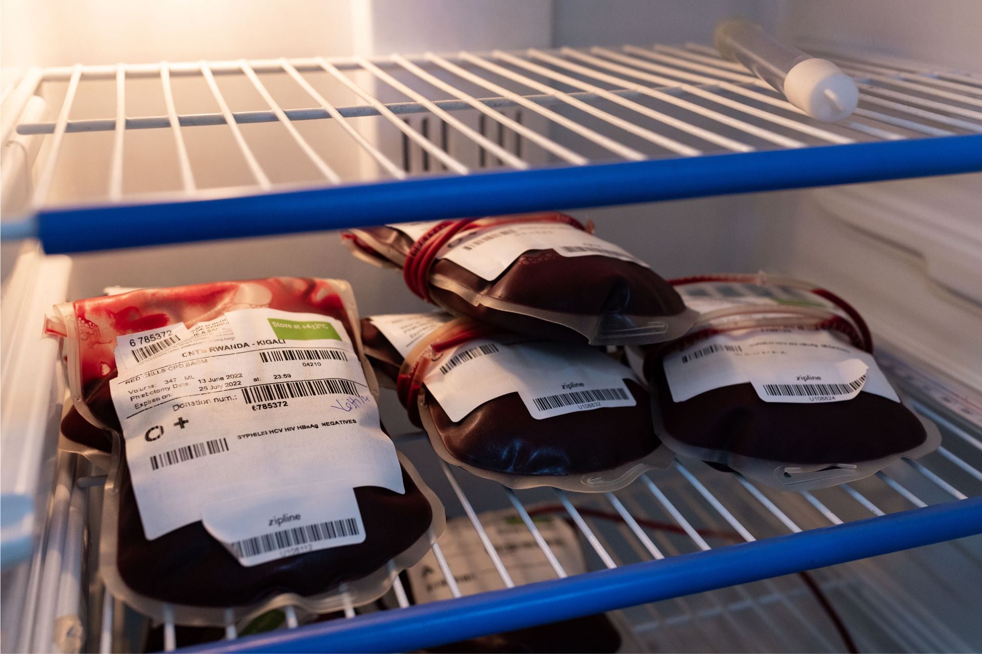 gizmodo.com - Ed Cara - America's Latest Unfounded Health Panic: 'Vaccinated' Blood Donations