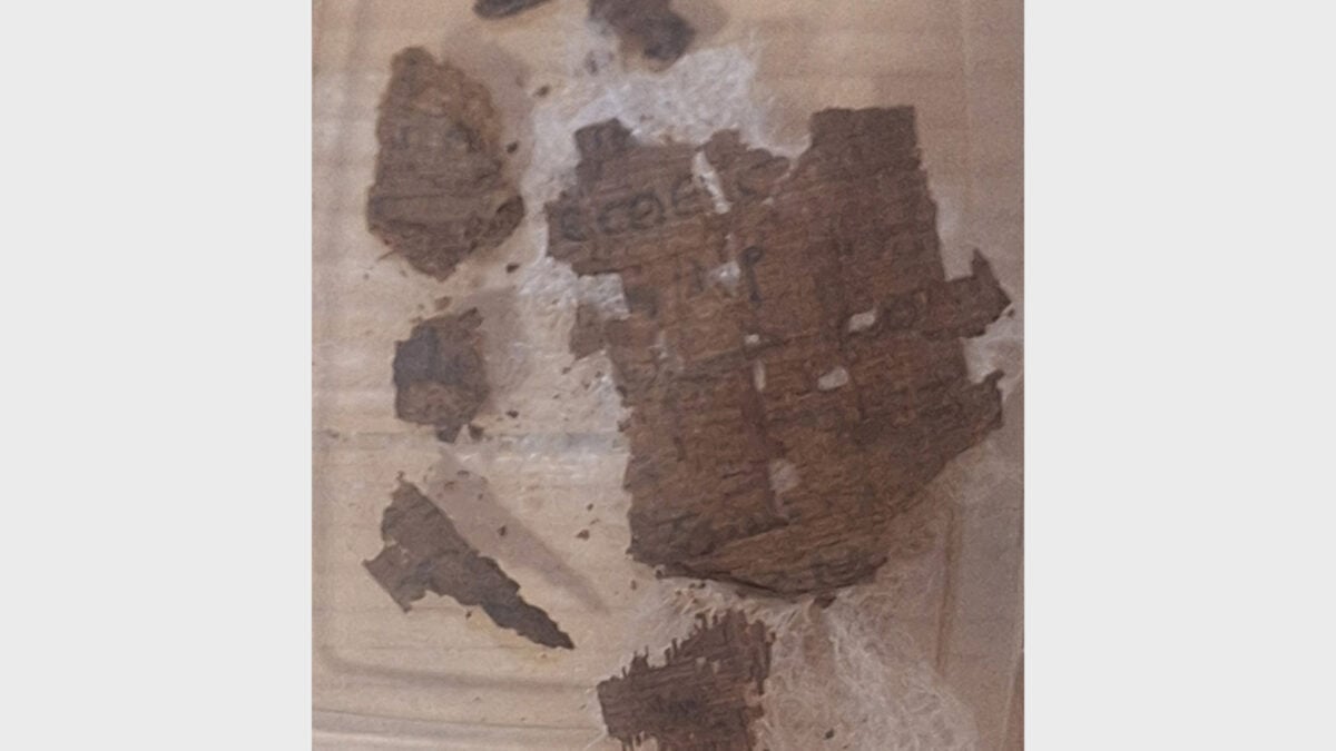 Homer’s "Iliad" Found Stuffed Into Egyptian Mummy’s Wrappings