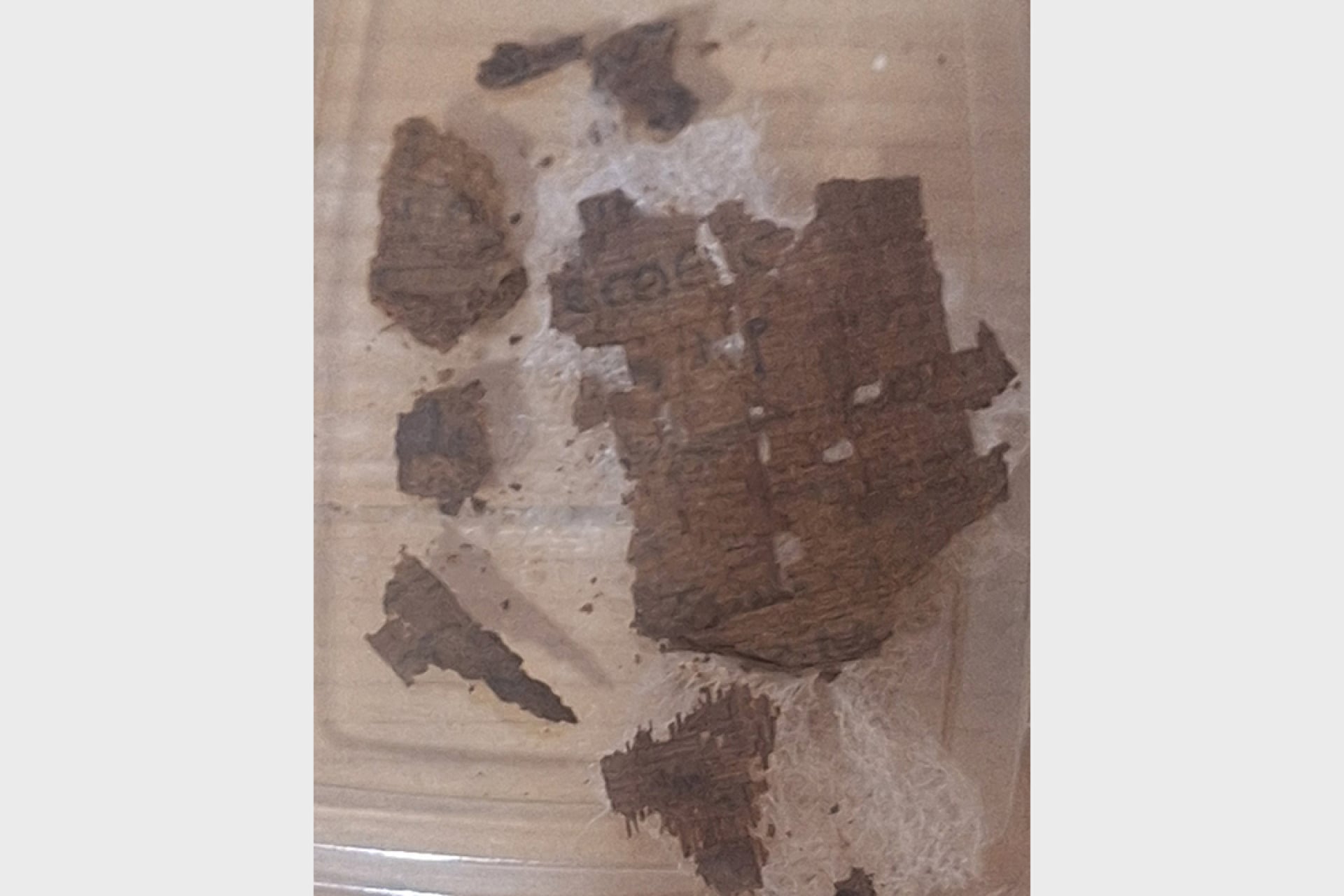 Papyrus fragments containing a section of Homer's Iliad.