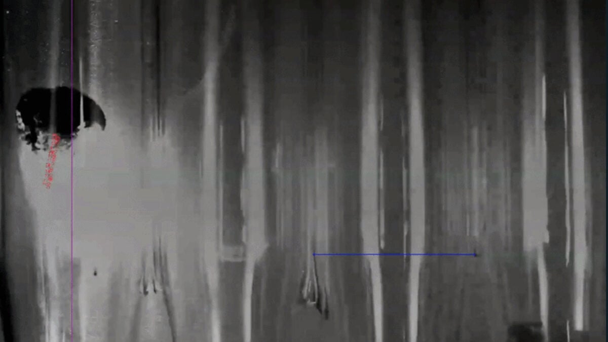 Wild Experiment Suggests Lasers and Graphene Could Propel…