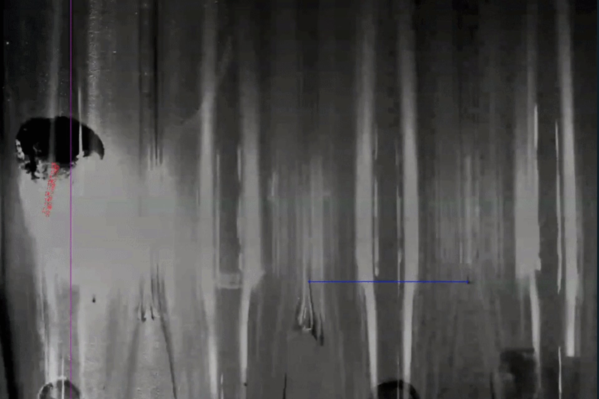 Inside a vacuum chamber, a continuous laser beamed on three small cubes made of graphene aerogel. A high-speed camera recorded the action through glass tubes. This video has been slowed down 10 times; each experiment run lasted 30 milliseconds.