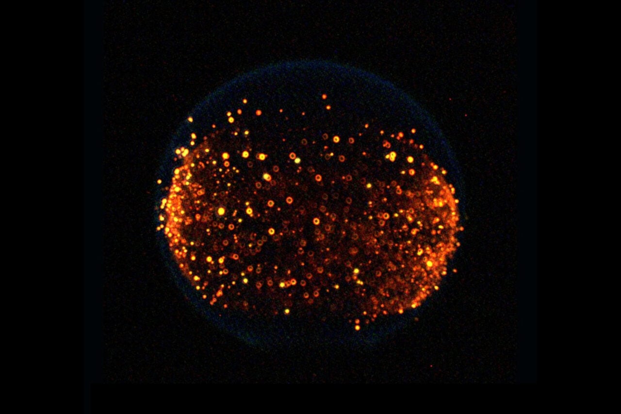 NASA Plans to Start a Fire on the Moon in First-of-Its-Kind Experiment