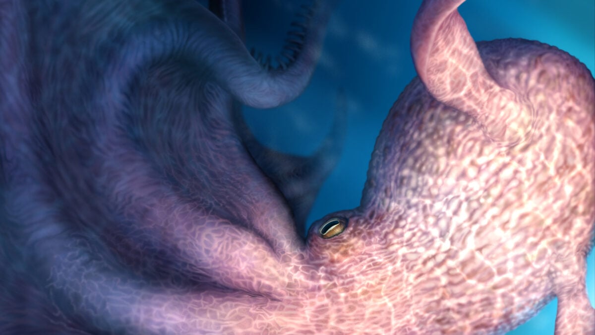 This 62-Foot ‘Kraken’ Octopus Terrorized Cretaceous Seas