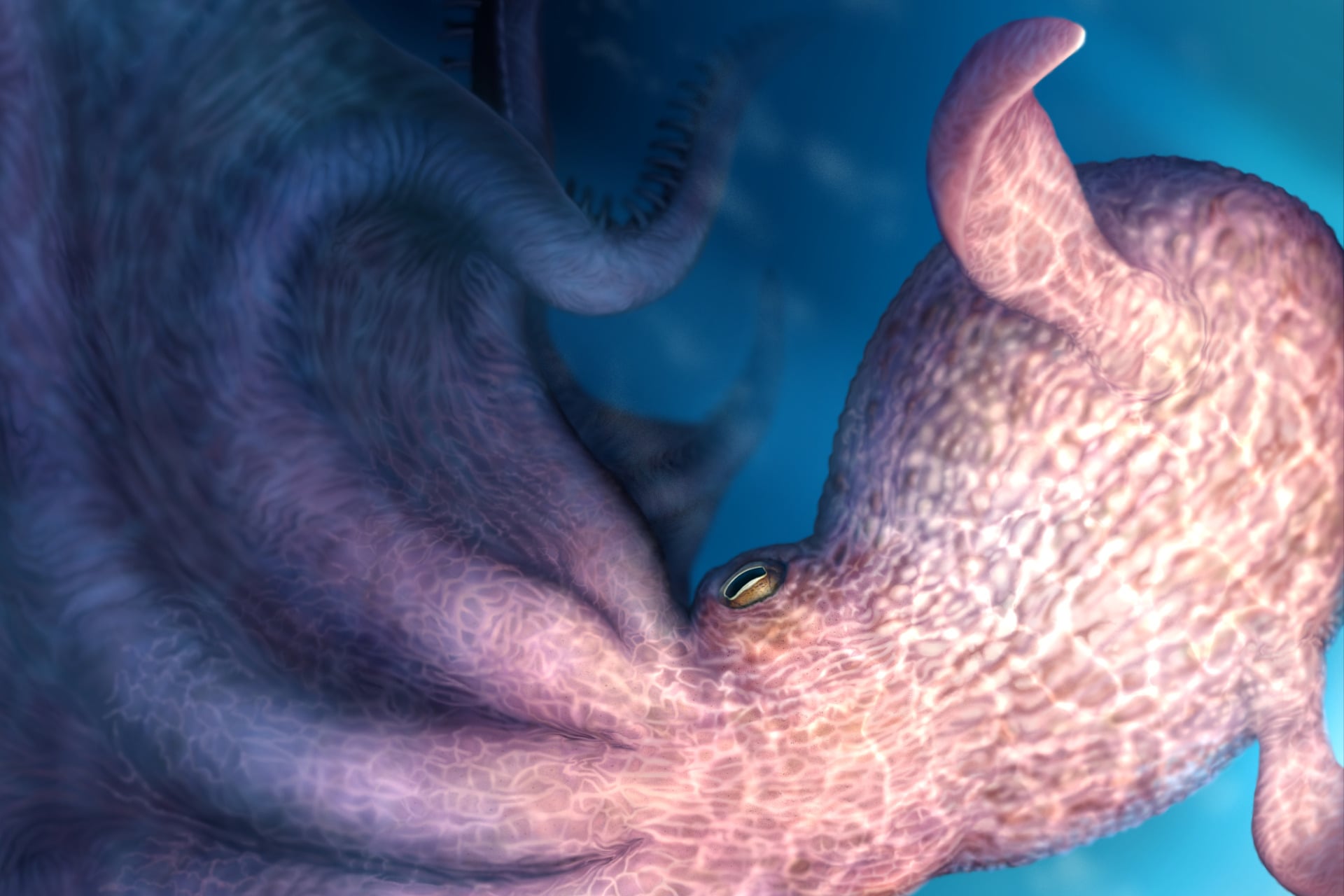 An artist's representation of a giant, primordial octopus.