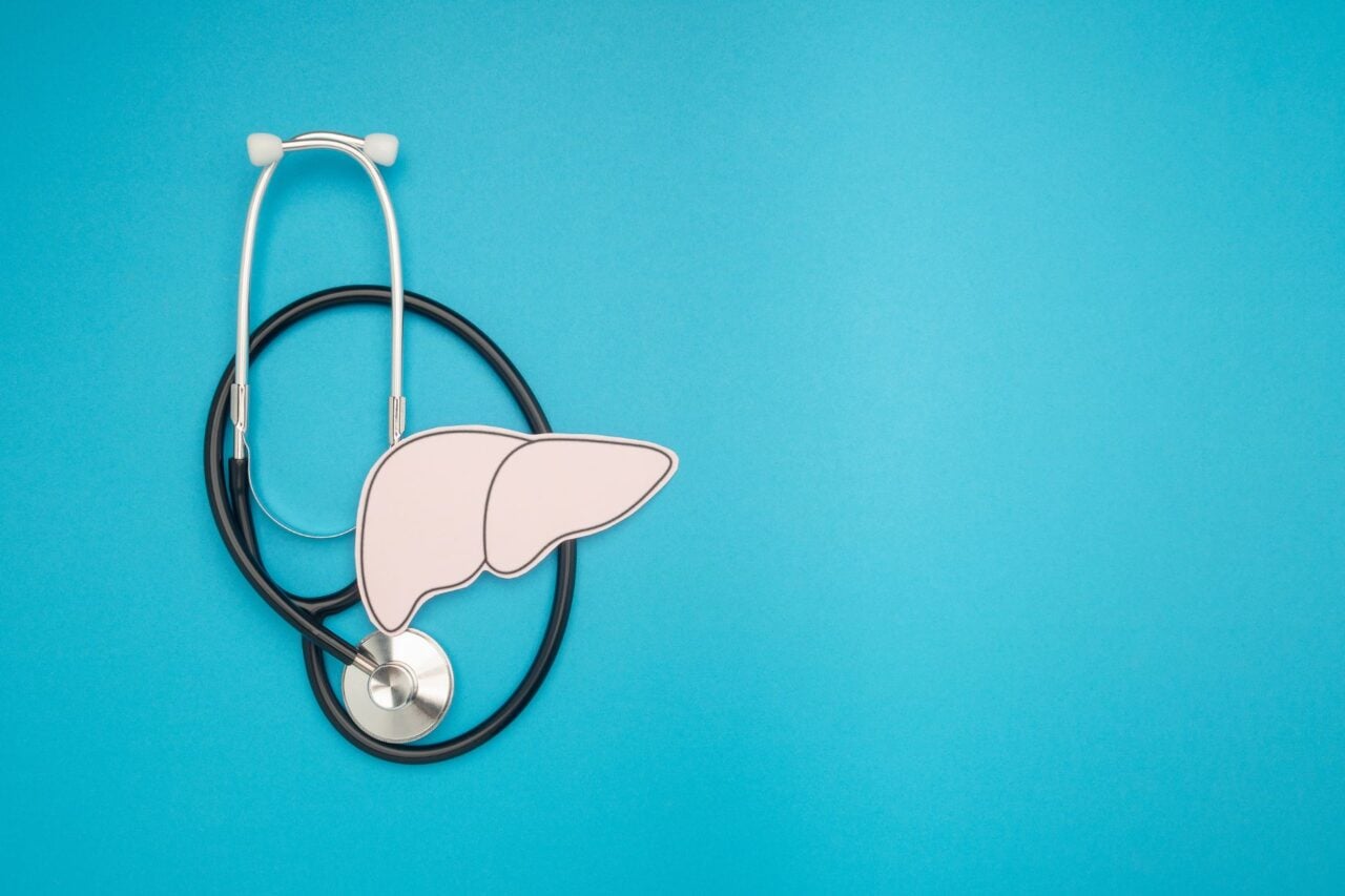 A picture of a liver in front of a stethoscope