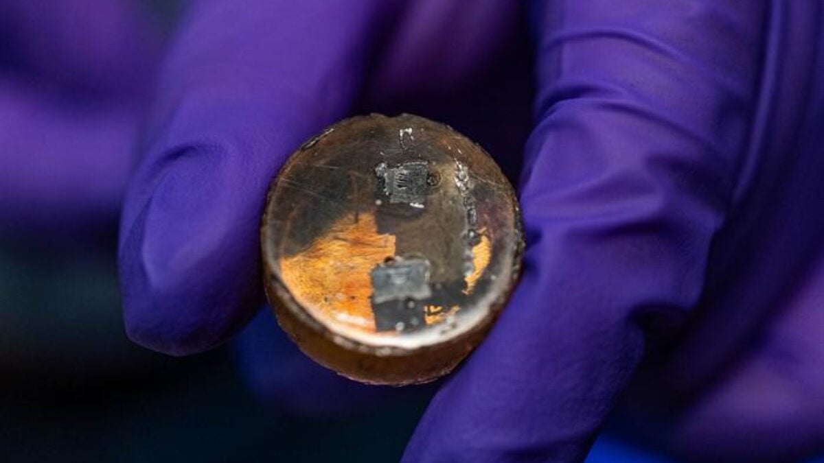 Here’s What Scientists Found When They Cooked Up Their Own…