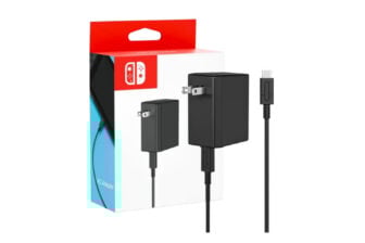 Nintendo Charger