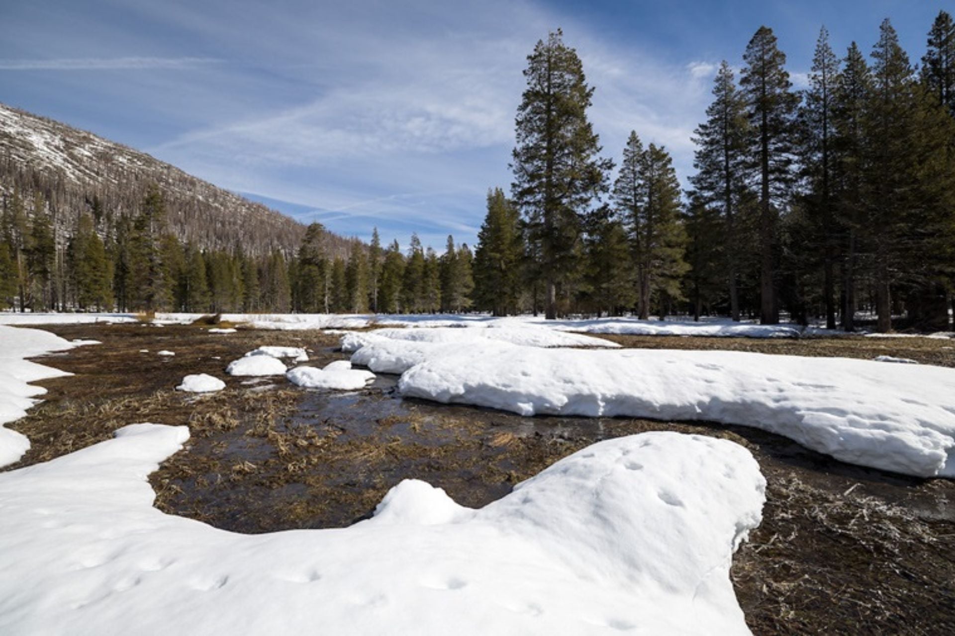 Snow near Phillips Station in the Sierra Nevada on February 27, 2026
