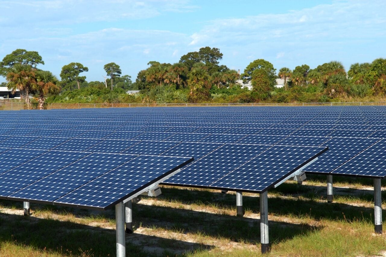 Scientists Generated Solar Power After Dark, Thanks to a Trick Using Wood